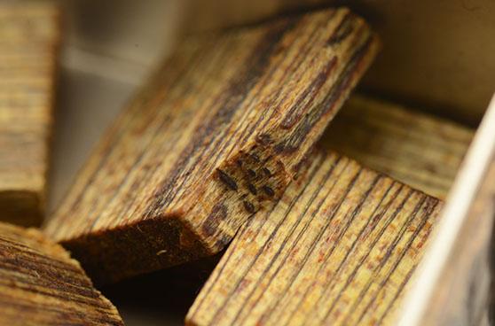 Tìm hiểu về lợi ích của trầm hương trong chăm sóc sức khỏe