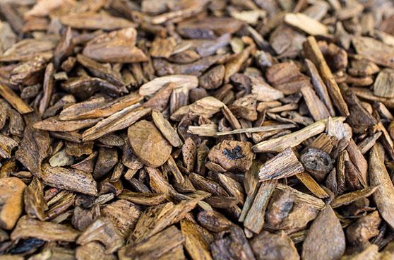 Trầm hương và tinh dầu trầm trong y học cổ truyền Á Đông.